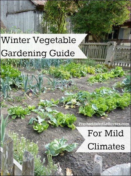 winter veggie planting guide