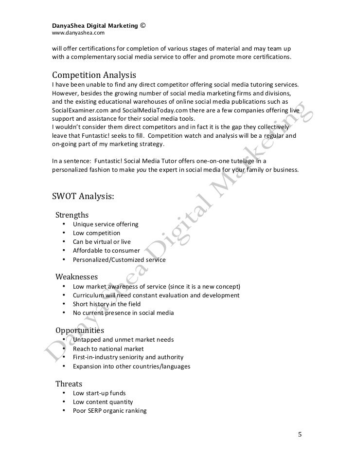 social media plan sample pdf